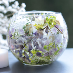 b53cd1c5a79283d0288f85cc6f143f