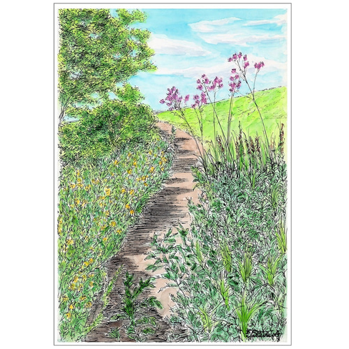 原画一点物 「野の花が咲く小道」 ＜ペンスケッチ＋透明水彩＞ 絵画