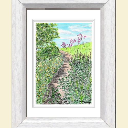 【原画】一点物　建物の花 原画一点物 「野の花が咲く小道」 ＜ペンスケッチ＋透明水彩＞ 絵画