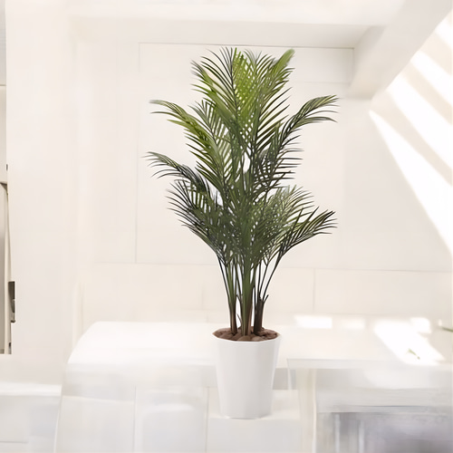 光触媒　人工観葉植物　ウォールグリーン　フェイクグリーン　アレカパーム1.7m 光触媒 人工観葉植物 ウォールグリーン フェイクグリーン アレカパーム