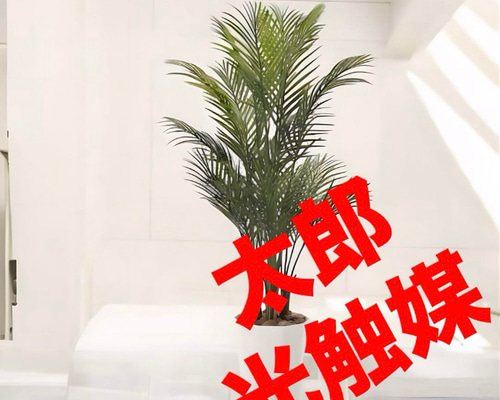 光触媒 人工観葉植物 ウォールグリーン フェイクグリーン アレカパーム