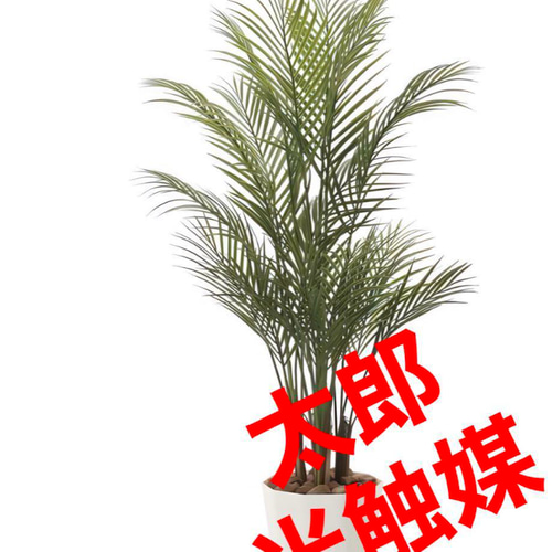 光触媒 人工観葉植物 ウォールグリーン フェイクグリーン アレカパーム