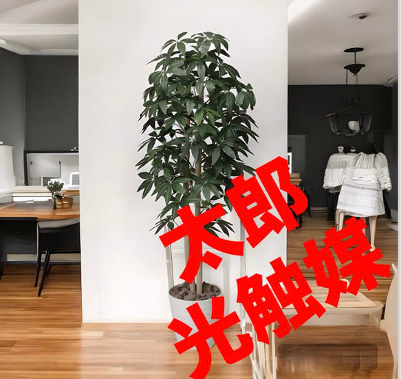 光触媒　人工観葉植物　ウォールグリーン　フェイクグリーン　パキラツリー1.6M 光触媒 人工観葉植物 ウォールグリーン フェイクグリーン パキラツリー1.6M
