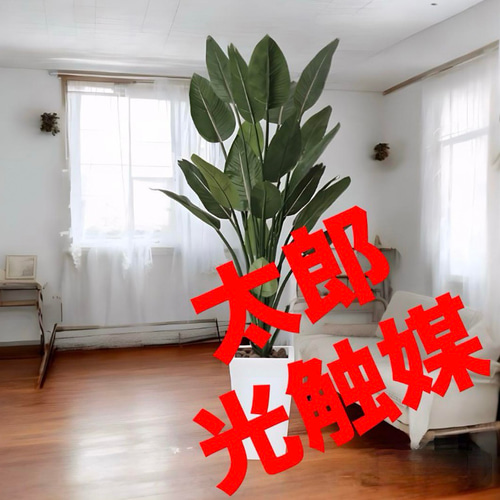 光触媒 人工観葉植物 ウォールグリーン フェイクグリーン ストレチアW1 