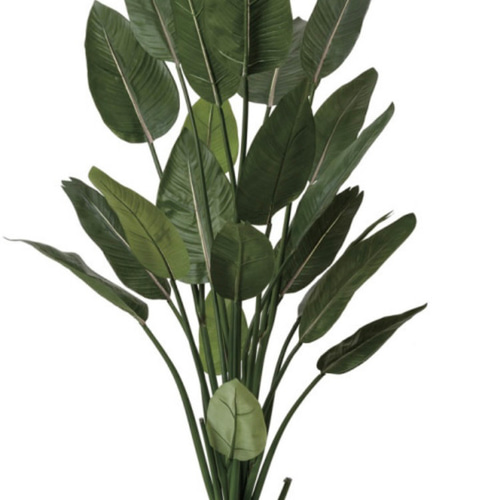 光触媒人工観葉植物ウォールグリーンフェイクグリーンストレチアW1.6m