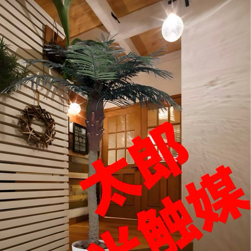 光触媒 人工観葉植物 ウォールグリーン フェイクグリーン フェニックス 