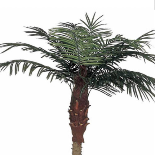 光触媒 人工観葉植物 ウォールグリーン フェイクグリーン フェニックス 