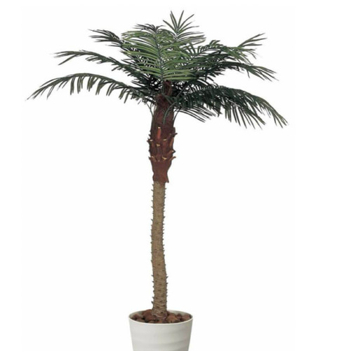光触媒 人工観葉植物 ウォールグリーン フェイクグリーン フェニックス 