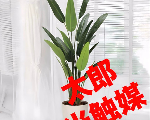 光触媒 人工観葉植物 フェイクグリーンフレッシュトラベラーズパーム