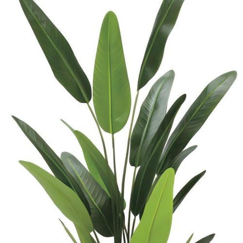 光触媒 人工観葉植物 フェイクグリーンフレッシュトラベラーズパーム