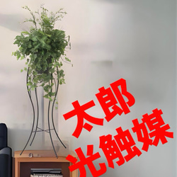 光触媒 人工観葉植物 フェイクグリーミニバンブースタンド1.35 その他