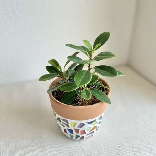 一点物】ジュエリータイル鉢 ガラス タイル ジュエリー 植木鉢 鉢 観葉