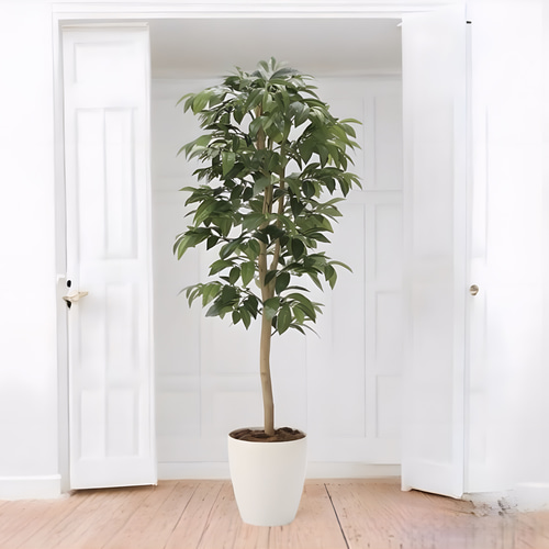 光触媒 人工観葉植物 フェイクグリーン アルデシア(万両) 高さ 1.3m  