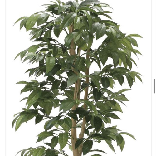 光触媒 人工観葉植物 フェイクグリーン アルデシア(万両) 高さ 1.3m  