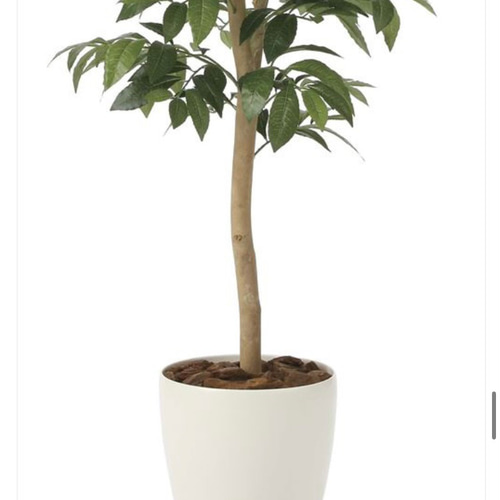 光触媒 人工観葉植物 フェイクグリーン アルデシア(万両) 高さ 1.3m  