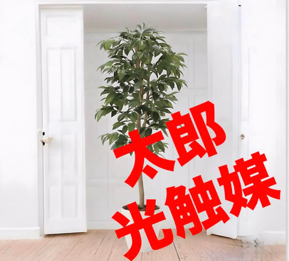 光触媒 人工観葉植物 フェイクグリーン アルデシア(万両) 高さ 1.3m  