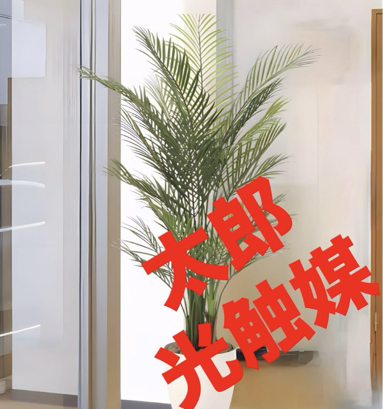 光触媒　人工観葉植物　ウォールグリーン　フェイクグリーン　アレカパーム1.5m