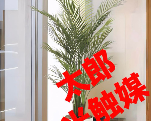 光触媒 人工観葉植物 ウォールグリーン フェイクグリーン アレカパーム