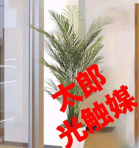 光触媒 人工観葉植物 ウォールグリーン フェイクグリーン アレカパーム