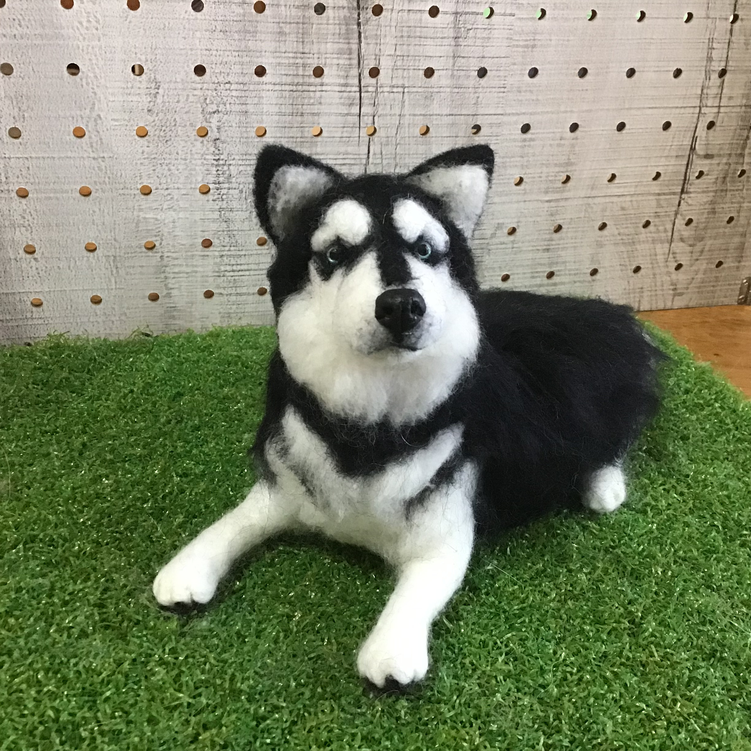 フェルト羊毛のハスキー（ブルーアイ）