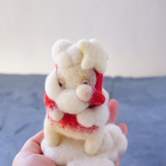 雲の試着室-星の子たち-(3種） 11枚目の画像