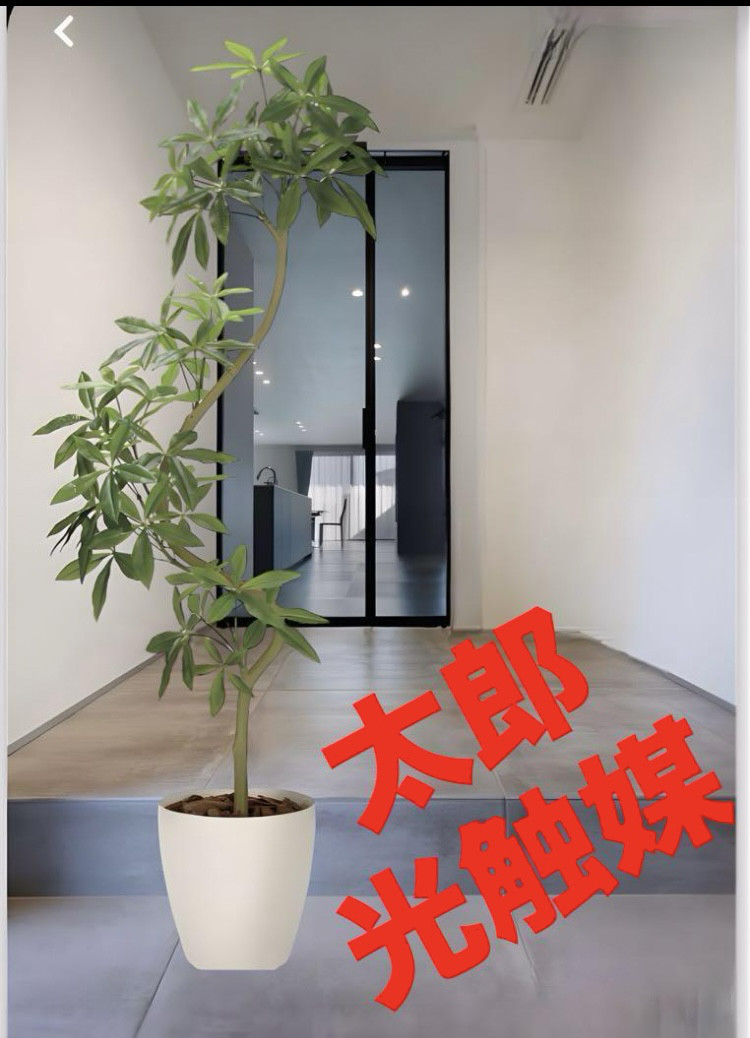 光触媒 人工観葉植物 ウォールグリーン フェイクグリーン 青竹1.8