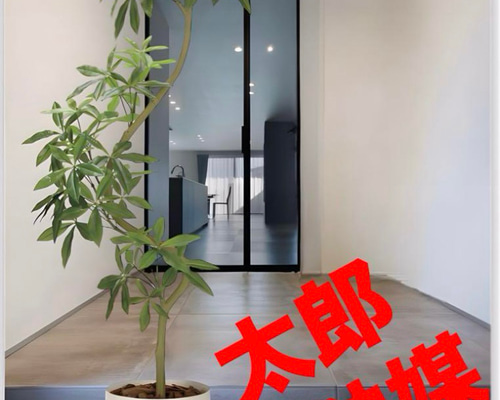 光触媒　人工観葉植物　ウォールグリーン　フェイクグリーン　ツイストパキラ2.1 光触媒 人工観葉植物 ウォールグリーン フェイクグリーン ツイスト