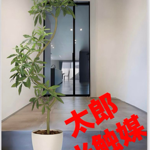 光触媒人工観葉植物フェイクグリーンフレッシュパキラ1.35