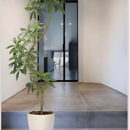 光触媒　人工観葉植物　ウォールグリーン　フェイクグリーン　ツイストパキラ2.1 光触媒 人工観葉植物 ウォールグリーン フェイクグリーン ツイスト