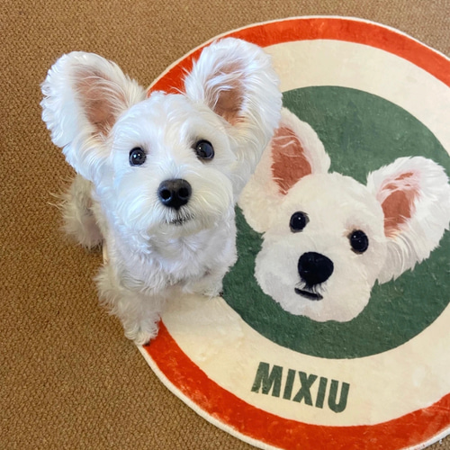 愛犬・愛猫そっくりラグ（円形）、犬、猫、小動物 カーペット・絨毯