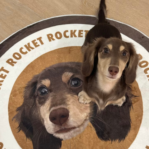 愛犬・愛猫そっくりラグ（円形）、犬、猫、小動物 カーペット・絨毯