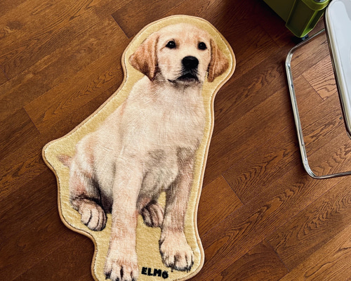 3e1b1782365c7415f958e6b27c7afe