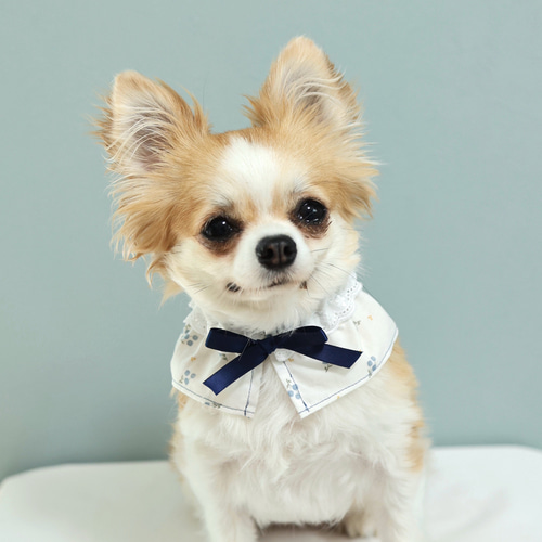 犬スタイ ペットスタイ 刺繍 名入れ やんわりブルーフラワーのフリル