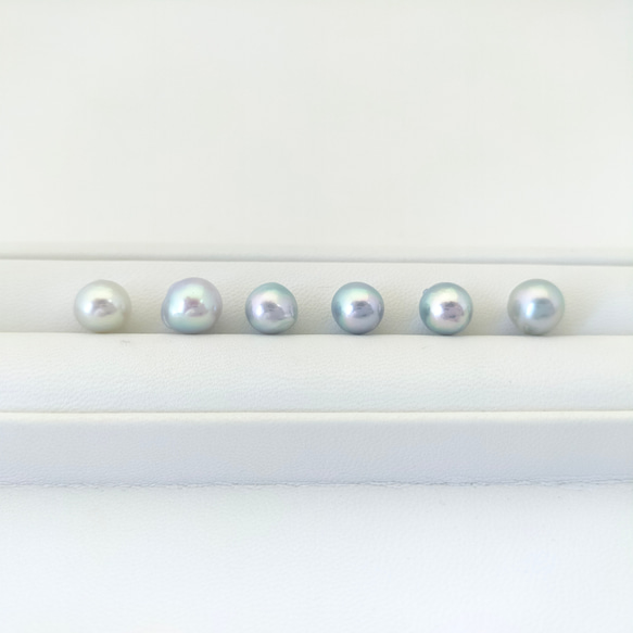 あこや真珠 ナチュラルブルー 無穴 7.5〜8.0mm 素材 イヤリング ピアス
