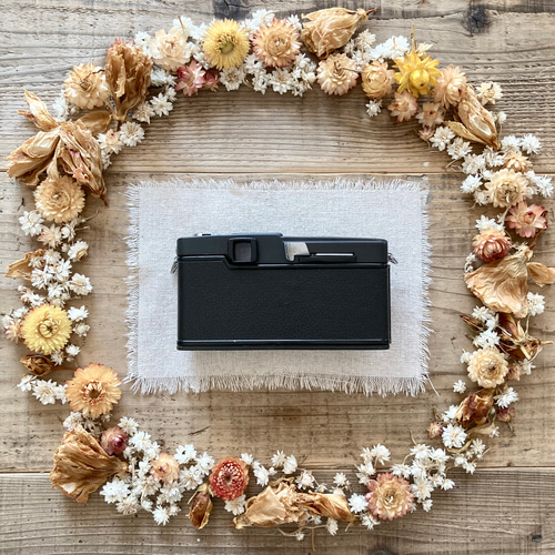 修理&塗装済】OLYMPUS PEN F / ZUIKO 38mm F1.8 / Zuiko 100mm F3.5