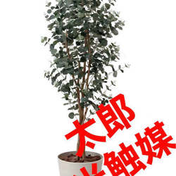 光触媒　人工観葉植物　ウォールグリーン　フェイクグリーン　ユーカリ1.6m 光触媒人工観葉植物ウォールグリーンフェイクグリーンユーカリツリー1.65