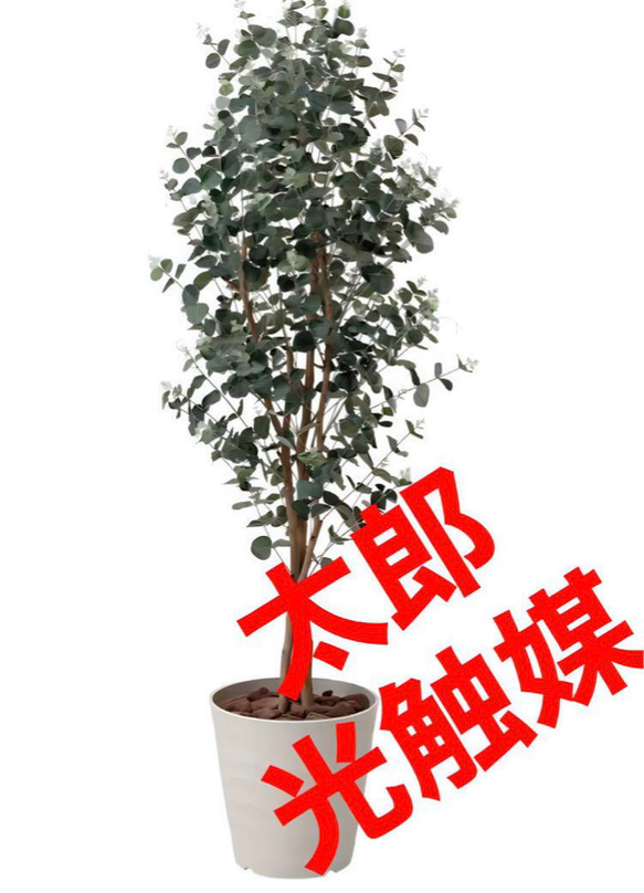 光触媒 人工観葉植物 ウォールグリーン フェイクグリーン ユーカリ1.6m