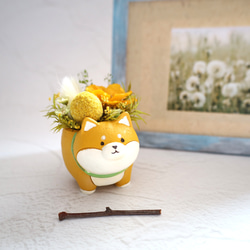 ピンクッションとユーカリのドライフラワースワッグ ドライフラワー