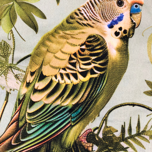 鳥柄 ハンドメイド ぺたんこトートバッグ セキセイインコ トート