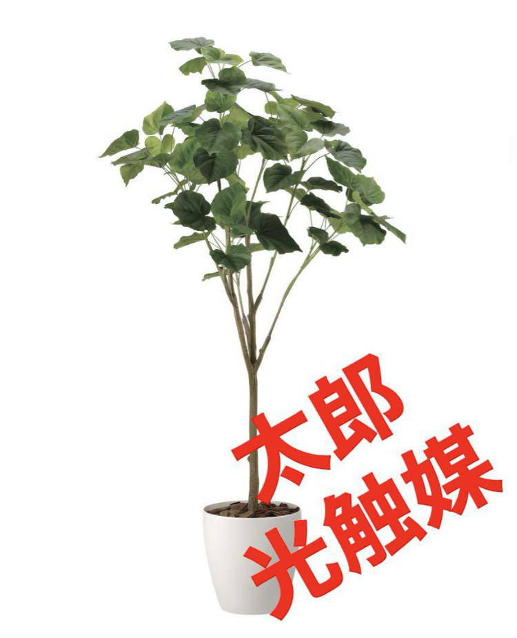 光触媒 人工観葉植物 ウォールグリーン フェイクグリーン シー 光触媒 人工観葉植物 ウォールグリーン フェイクグリーン シー