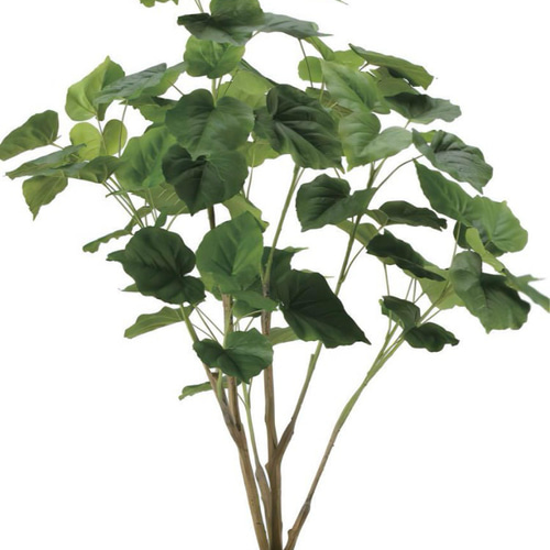 光触媒 人工観葉植物 フェイクグリーン フィカスウンベラータ1.7 光触媒 人工観葉植物 フェイクグリーン フィカスウンベラータ1.7