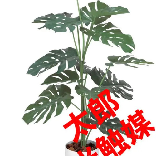 光触媒　人工観葉植物　ウォールグリーン　フェイクグリーン　モンステラ1.2m 光触媒 人工観葉植物 ウォールグリーン フェイクグリーン モンステラ