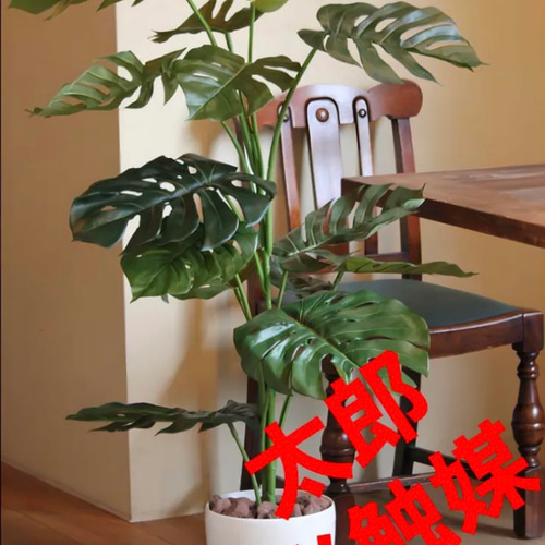 光触媒人工観葉植物ウォールグリーンフェイクグリーンモンステラ1.2m