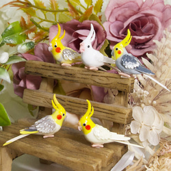 セミオーダー】オカメインコのピアス・イヤリング イヤリング