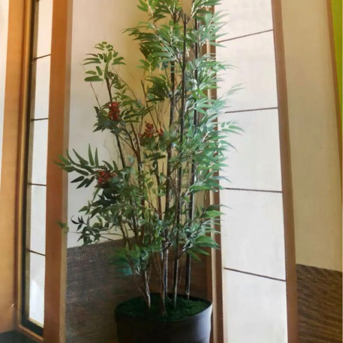 光触媒　人工観葉植物　ウォールグリーン　フェイクグリーン　カシワバゴム160 光触媒人工観葉植物ウォールグリーンフェイクグリーンカシワバゴム160