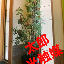 光触媒 人工観葉植物 ウォールグリーン フェイクグリーン 藤の花ツリー