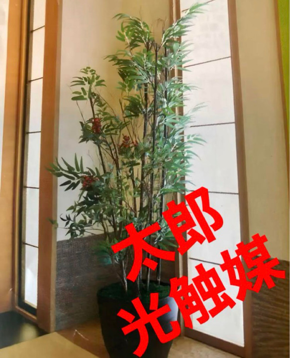 光触媒 人工観葉植物 ウォールグリーン フェイクグリーン 黒竹