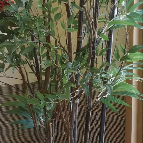 光触媒　人工観葉植物　ウォールグリーン　フェイクグリーン　黒竹&南天1.6m 光触媒 人工観葉植物 ウォールグリーン フェイクグリーン 黒竹&南天1.6