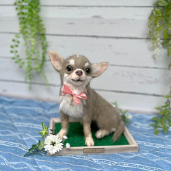 はろさま専用 羊毛フェルト 額飾り　ミニチュアダックスフンド 受注製作》羊毛フェルト ダックスフンド 額入り オーダー 羊毛フェルト