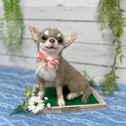羊毛フェルト Ｎ様 チワワ ヨーキー ヨーチワ 犬 ハンドメイド オーダー chiwa様専用☆オーダーページ チワワ 羊毛フェルト ハンドメイド